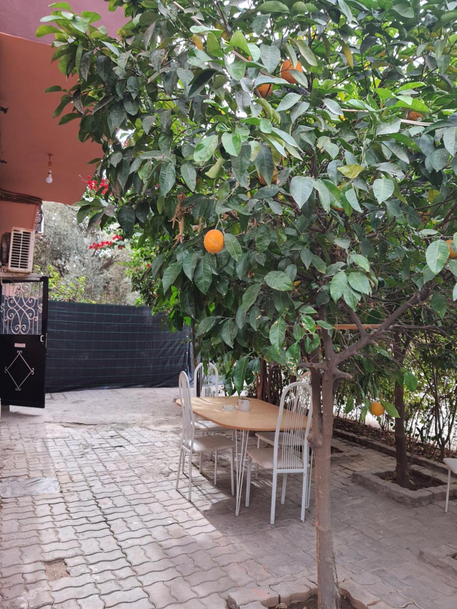 Apartamento Marrakech Marrakesh